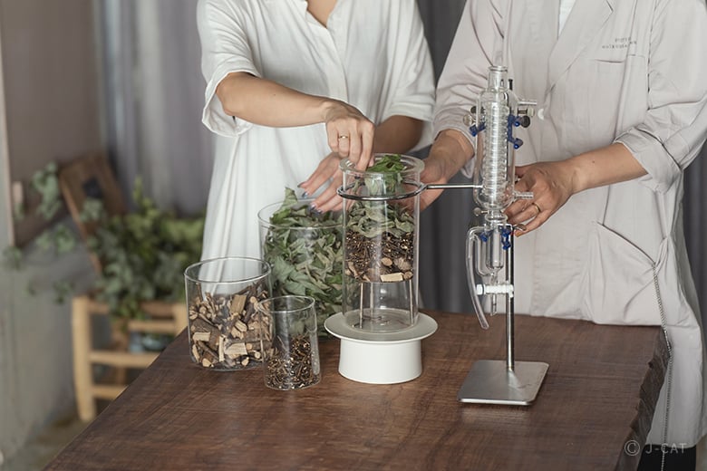 植物療法士に学ぶハーブの力で心身を整える知恵 和精油ブレンド体験