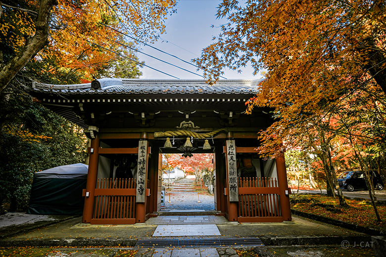 富士門流の信仰と化儀 冨嶽三十六景 東都浅草本願寺 | 葛飾北斎 | 収蔵品詳細 | 作品を知る