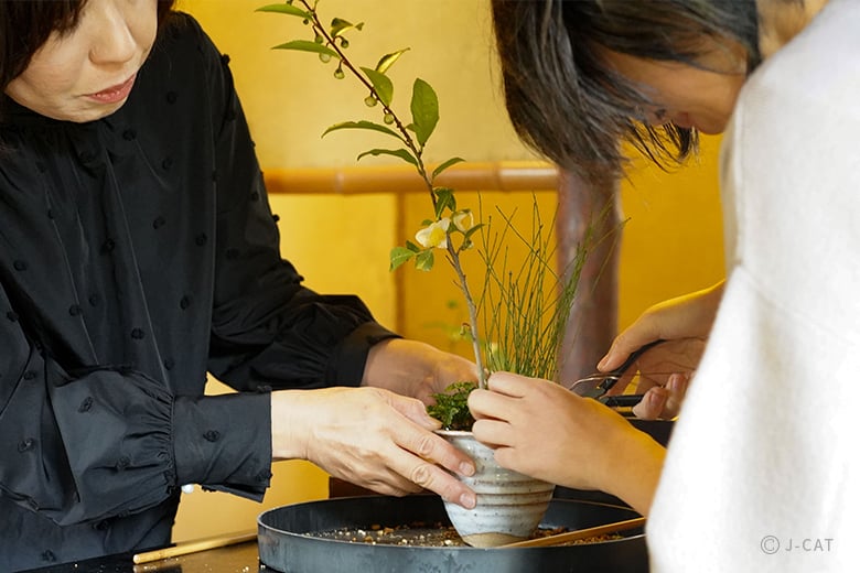 名古屋「文化のみち橦木館」文化財指定の茶室で盆栽作りと植苔体験