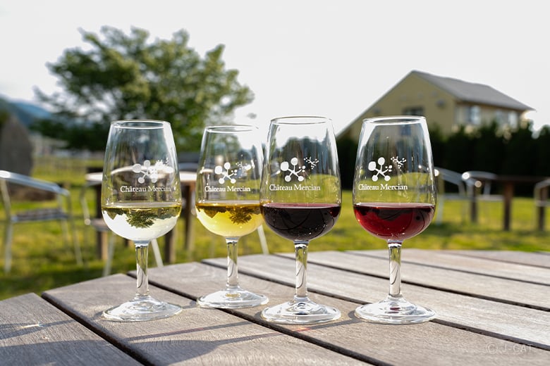 勝沼「シャトー・メルシャン」日本ワインの原点を学ぶワイナリーツアー