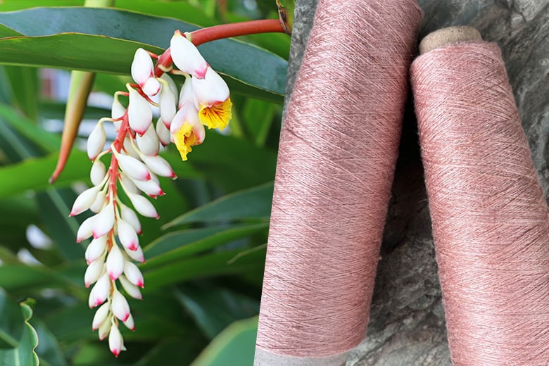 季節の植物と名水で染めるアトリエシムラの草木染め 京都・亀屋良長にて
