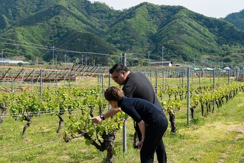 勝沼「シャトー・メルシャン」特別室で最高峰ワインを愉しむプレミアム