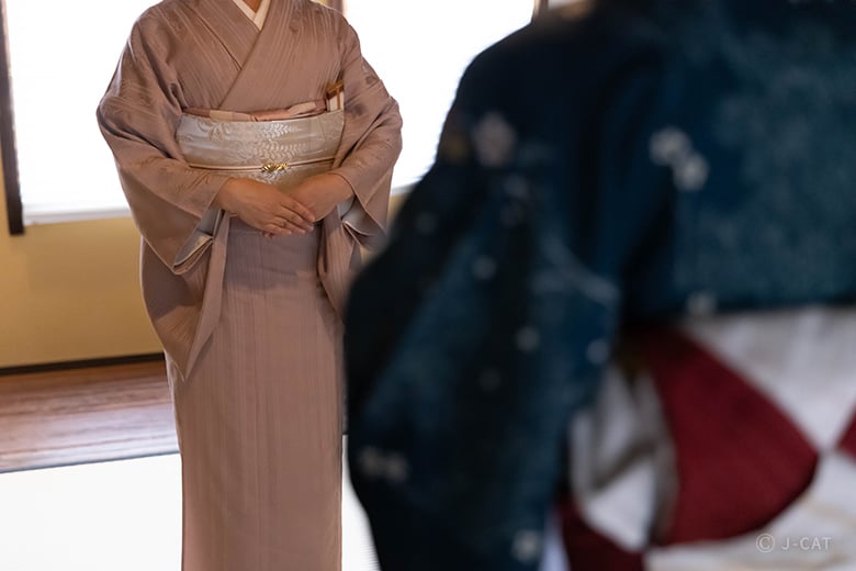 流風の美 [名古屋に生きる狂言装束] 芸艸堂 流風の美 [名古屋に生きる