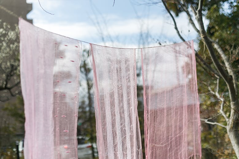 奈良「空蝉」染織家・宇都宮弘子氏に習う草木染めのある暮らし −季節